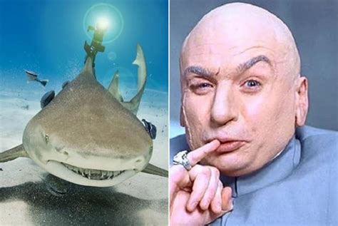 Paging Dr. Evil: Science Finally Puts Laser Beams on Sharks