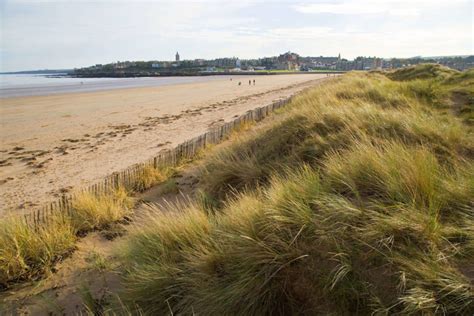 St Andrews West Sands - Fife Coast & Countryside Trust