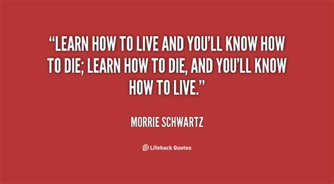 Morrie Schwartz Quotes. QuotesGram