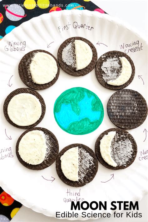 How To Make Moon Phases With Oreos - Little Bins for Little Hands