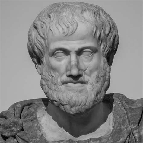 Aristotle - Wise Owl Quotes