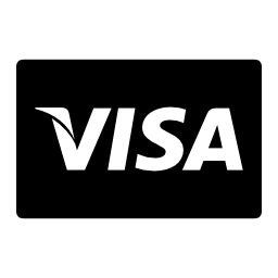VISA pay logo