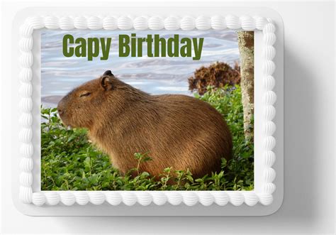 Capybara Capy Birthday Edible Image Edible Cake Topper Frosting Sheet Icing Paper Cake ...