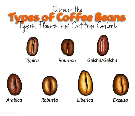 Types of Coffee Beans: Types, Flavors, and Caffeine Content | Types of coffee beans, Coffee type ...