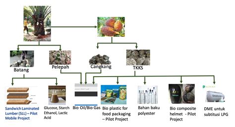Potensi Limbah Kelapa Sawit Di Indonesia Dan Pemanfaatannya – Eroppa