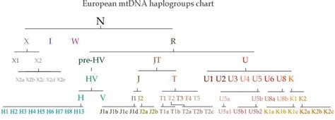 Mitochondrial DNA (mtDNA) haplogroups frequencies by country in Europe, the Near East & North ...