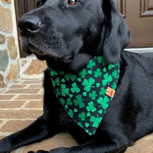 St Patricks Day Dog Bandana Clover Dog Bandana Green Dog Bandana ...