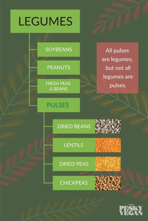 A Beginner's Guide to Pulses - The Pesky Vegan (Beans, Peas, Lentils)