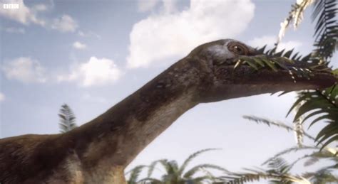 Saurornithoides | BBC Planet Dinosaur Wiki | FANDOM powered by Wikia