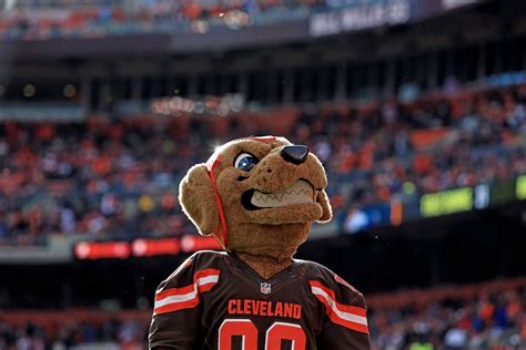 What Kind Of Dog Is Cleveland Browns’ Chomps?