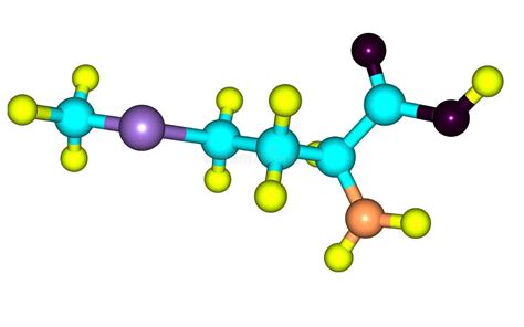 Must Know Facts about Methionine