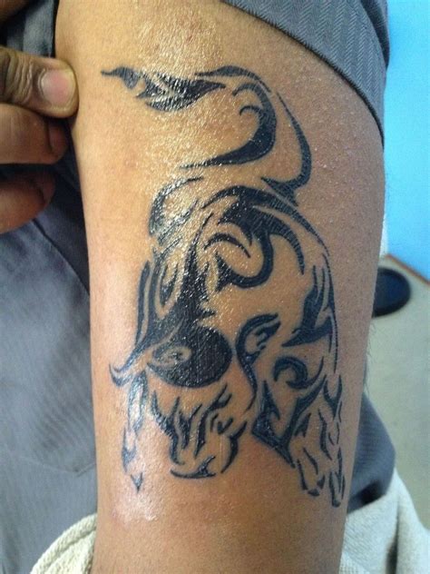 Tribal Taurus - Tattoo Portfolio @ Dragon Body Art, Glen Huntly, VIC | Taurus tattoos, Tattoo ...