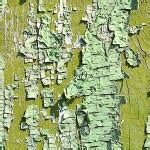 Bark of a old oak tree texture — Stock Photo © cristalvi #7375953