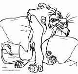 The Lion King coloring Pages  Coloring For Kids Disney sketch template