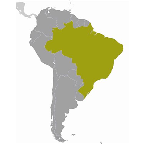 Brazil Map Coloring Pages - Learny Kids