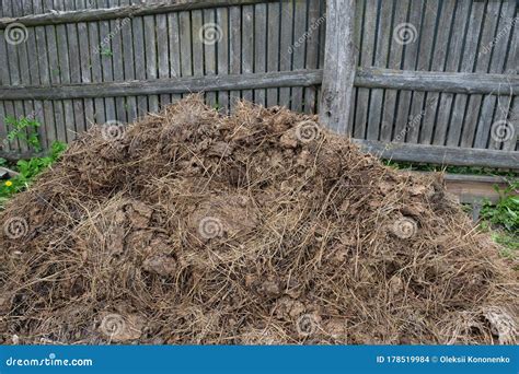 A Large Pile of Cow Manure Near the Fence Stock Photo - Image of compost, nature: 178519984