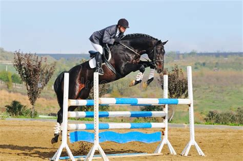 Rider on Bay Horse in Jumping Show Stock Photo - Image of male ...