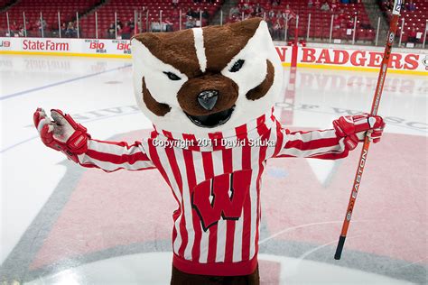 Bucky Badger | David Stluka Photography