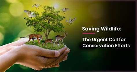 Saving Wildlife: The Urgent Call for Conservation Efforts