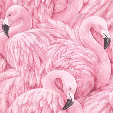 Rasch Pink Flamingo Wallpaper 277890 | Wallpaper | Hình nền