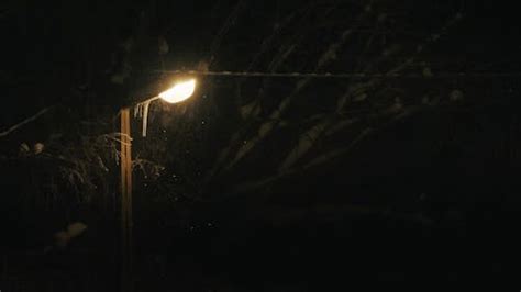 A Street Lamp on a Snowy Winter Night Free Stock Video Footage, Royalty ...