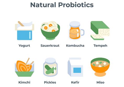 Probiotics: Benefits, How to Choose, When to Take, Safety | Nutriplanet