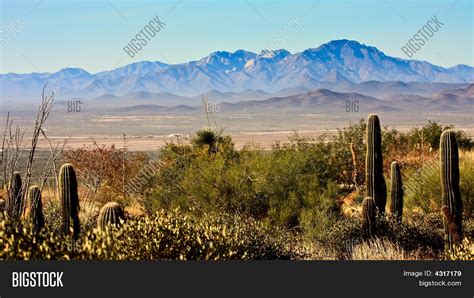 Arizona Sonora Desert Image & Photo (Free Trial) | Bigstock