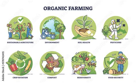 Organic farming elements and sustainable agriculture outline collection set. Labeled educational ...