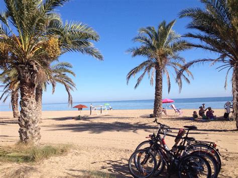 Discover Denia while you Learn Spanish - TLCdénia