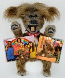 Dodge T. Dog | CBeebies Wiki | Fandom