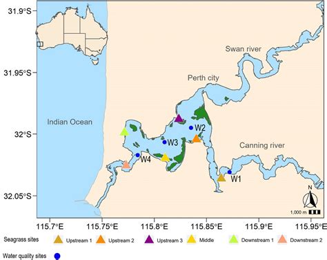 Population‐specific resilience of Halophila ovalis seagrass habitat to ...