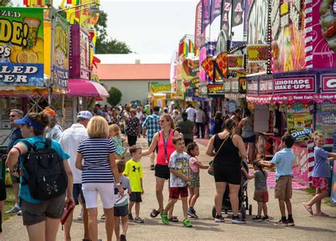 McHenry County Fair more than just animals and rides: officials seeking local talent to exhibit ...