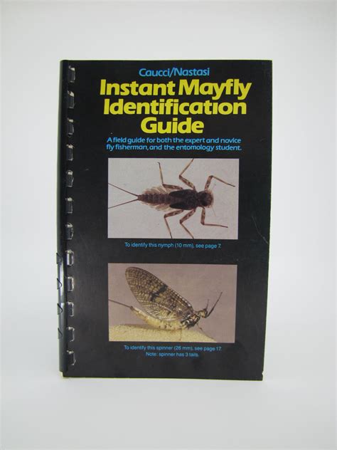 Instant Mayfly Identification Guide - Supporting Freshwater Conservation – Trout Unlimited Canada