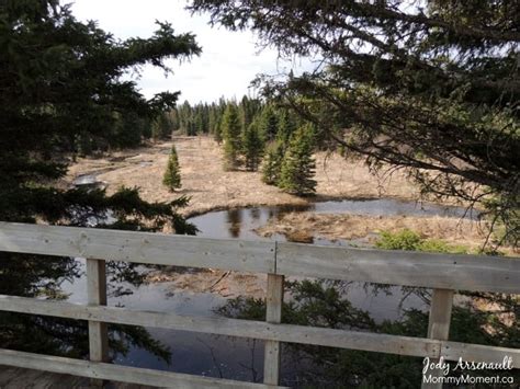 Riding Mountain National Park ~ A Daddy Daughter Camping Trip | Mommy Moment