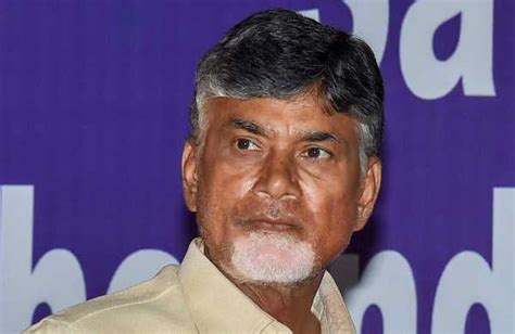 Chandrababu Naidu house row: TDP alleges vindictive politics - The Indian Wire