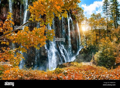 Lakes and waterfalls among the dense forest Stock Photo - Alamy