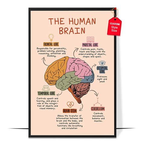 Brain Poster Ideas