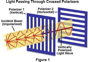 Molecular Expressions: Science, Optics, and You: Light and Color - Polarization of Light