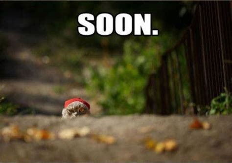 “Soon” Meme Collection (17 pics) - Izismile.com