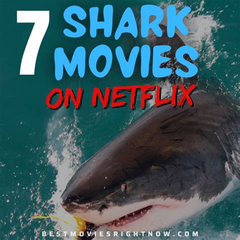 All the Thrilling & Fascinating Shark Movies On Netflix - Best Movies Right Now