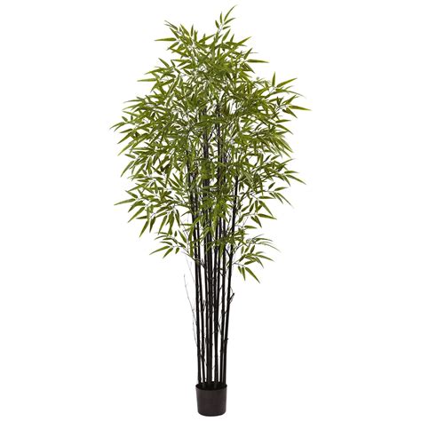 6' Black Bamboo Tree UV Resistant (Indoor/Outdoor) | Nearly Natural