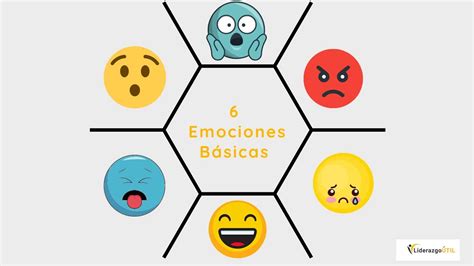 Que Son Las Emociones Basicas - Image to u