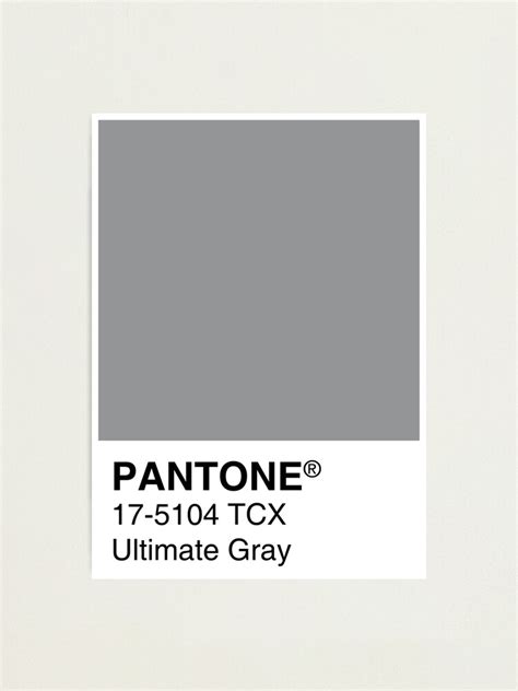 Fine Beautiful Pantone Dark Charcoal Grey Windsor Wine