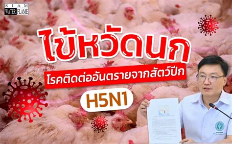 H5N1 avian influenza MASTER_PORTABLE_HEATERS