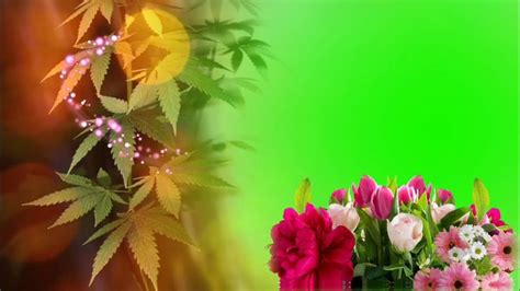 Wedding green screen background effect | Shaadi background frame 2020 ...