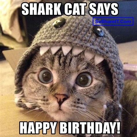 55+ Happy Birthday Cat ️ Wishes Quotes, Images & Memes