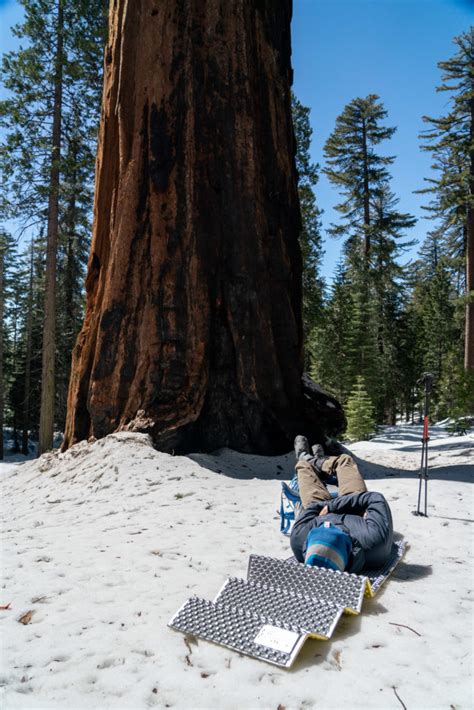 Backpacking Mariposa Grove, Yosemite National Park - littlegrunts.com