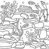 Animal Sponges Stock Illustrations – 295  sketch template