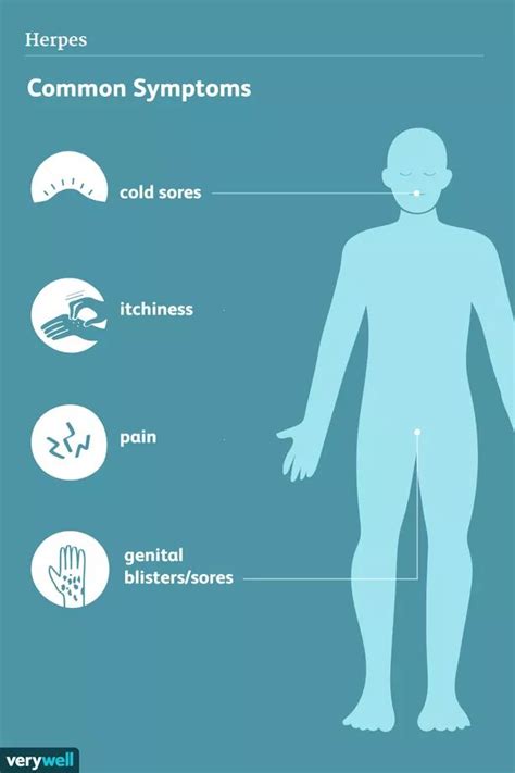 5 Genital Herpes Stages | LifeMD