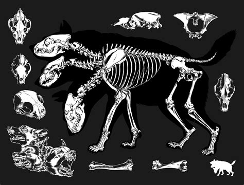 Craig Horky | cerberus skeleton art print | Online Store Powered by ...